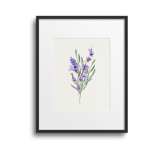 Watercolor Lavender Wall Art - With Frame